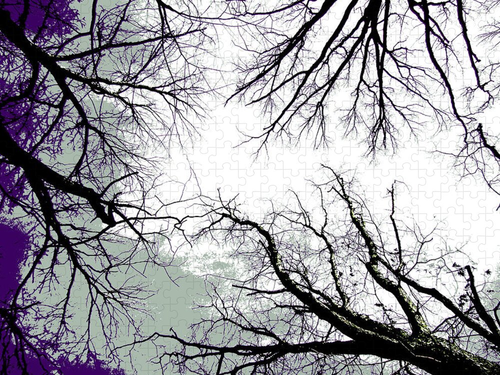 Trees Jigsaw Puzzle featuring the photograph Looking Up by Carol Senske