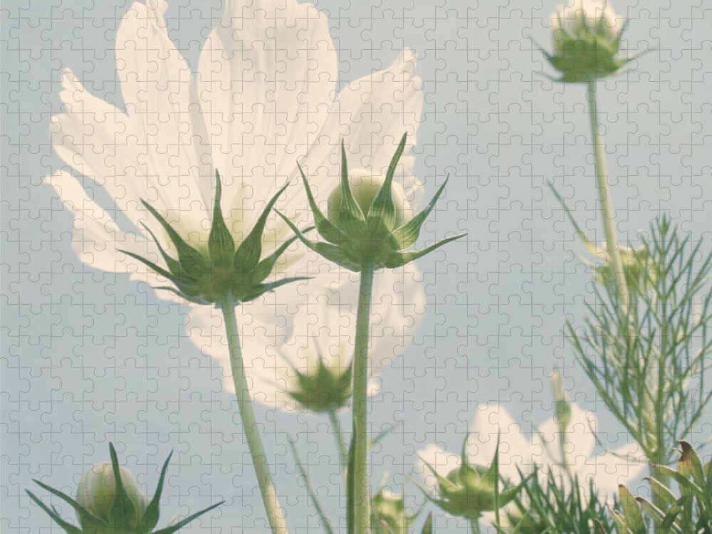 Flower Jigsaw Puzzle featuring the photograph Looking Up by Kim Hojnacki