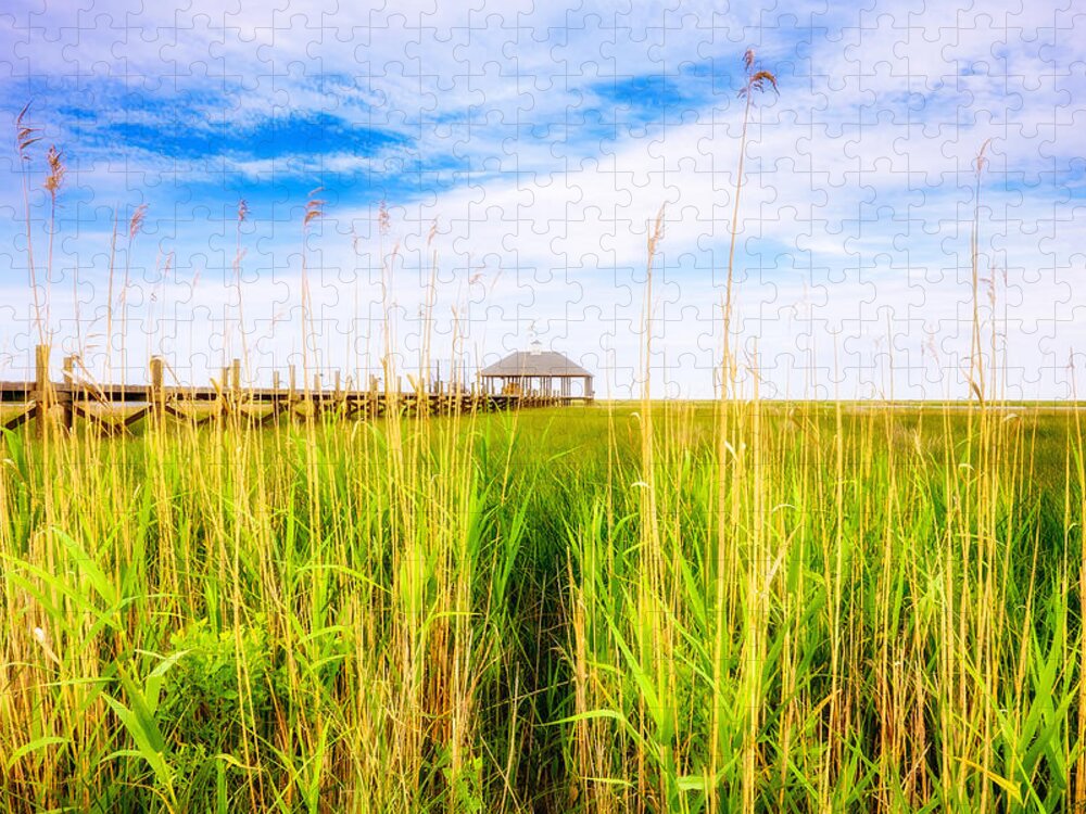 Gulf Of Mexico Jigsaw Puzzle featuring the photograph Lost in the Weeds by Raul Rodriguez