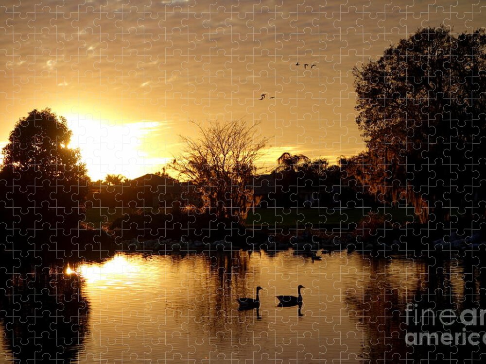 Golf Jigsaw Puzzle featuring the photograph Love is in the air Florida style by De La Rosa Concert Photography