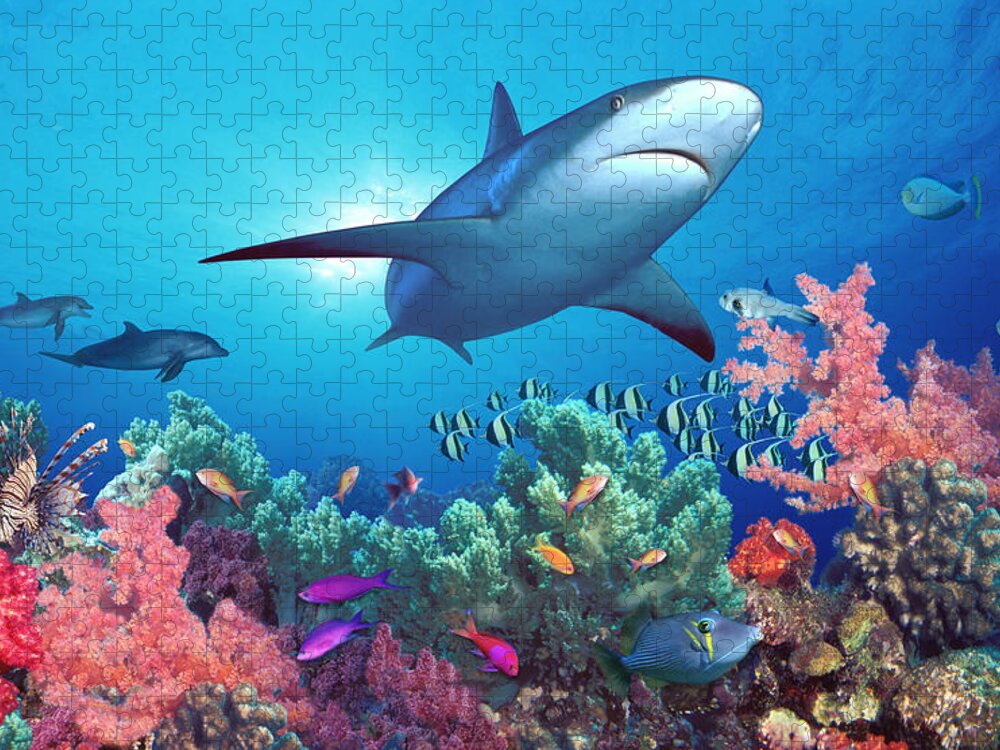 Photography Jigsaw Puzzle featuring the photograph Low Angle View Of A Shark Swimming by Panoramic Images