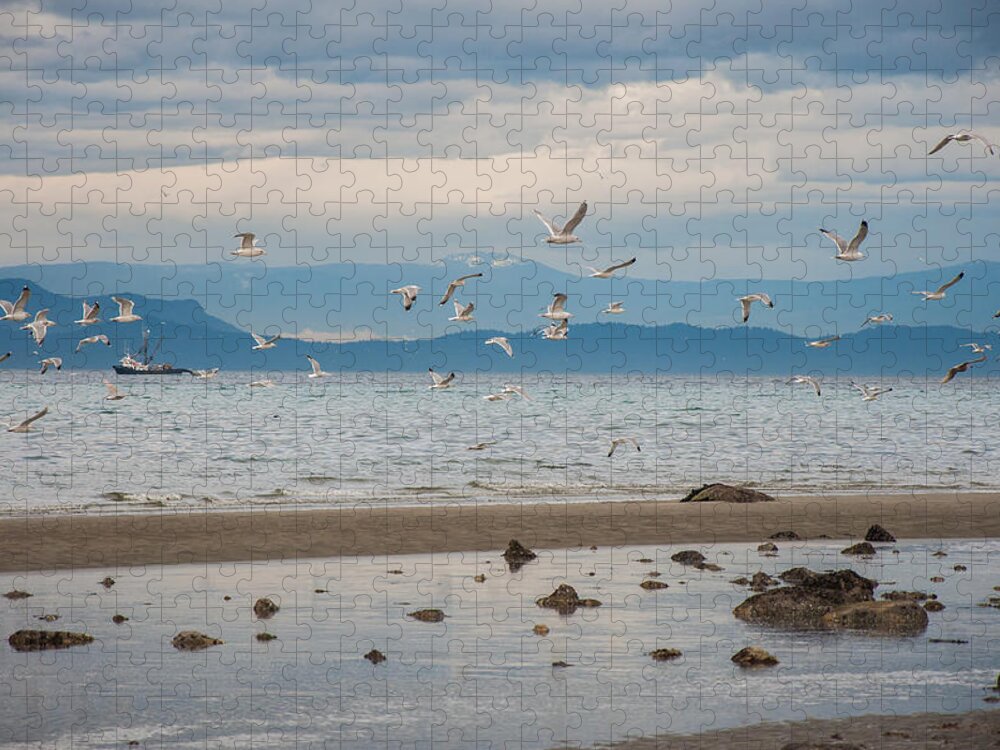 Low Tide Jigsaw Puzzle featuring the photograph Herring Season #1 by Roxy Hurtubise