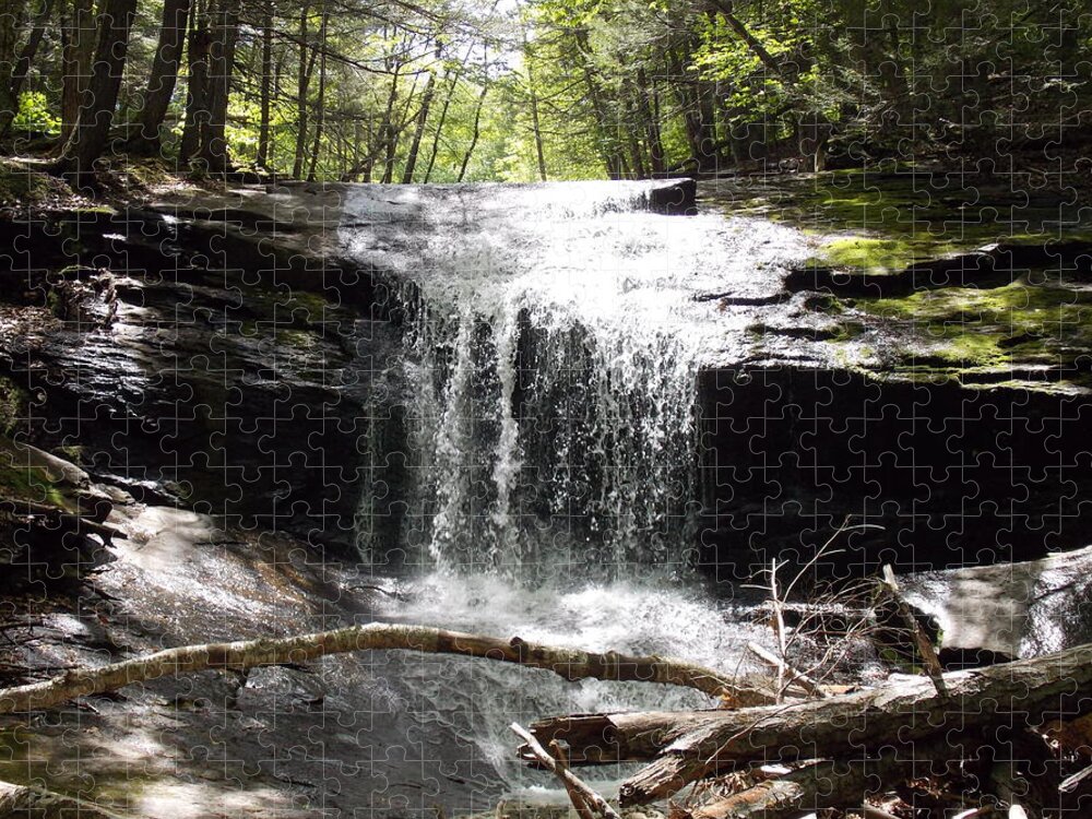 Lower Jigsaw Puzzle featuring the photograph Lower Chapel Brook Falls by Nina Kindred