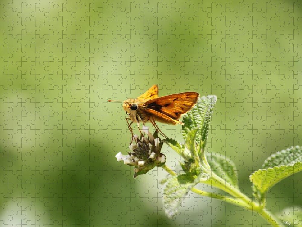 Butterfly Jigsaw Puzzle featuring the photograph Lunch Time by Amy Gallagher