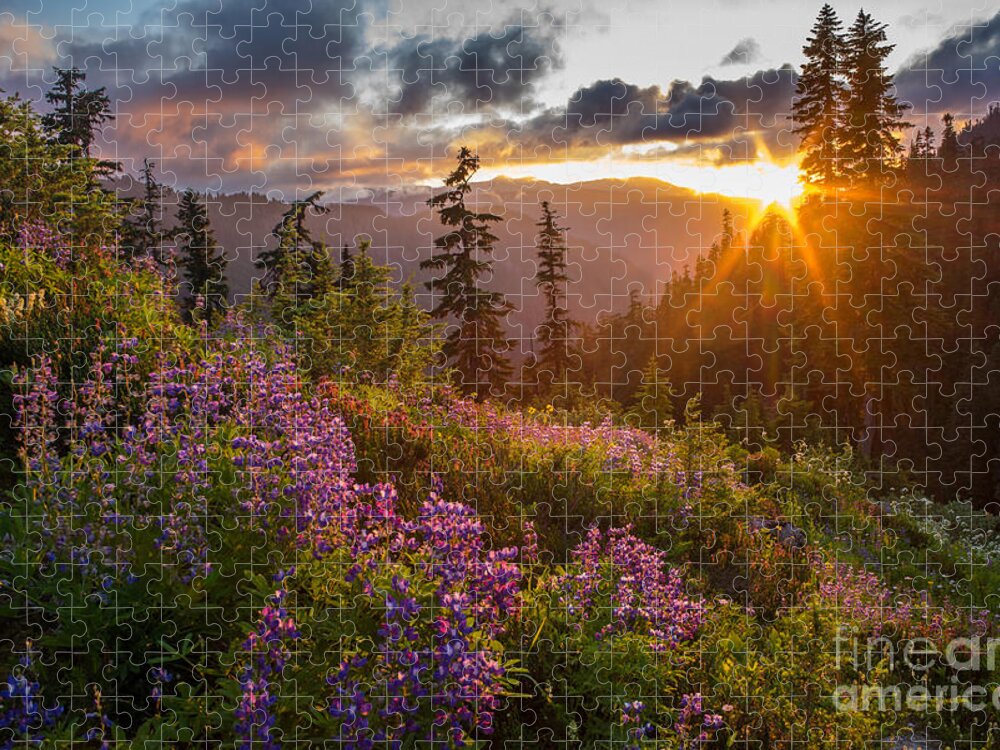 Mount Baker Jigsaw Puzzle featuring the photograph Lupine Meadows Sunstar by Mike Reid