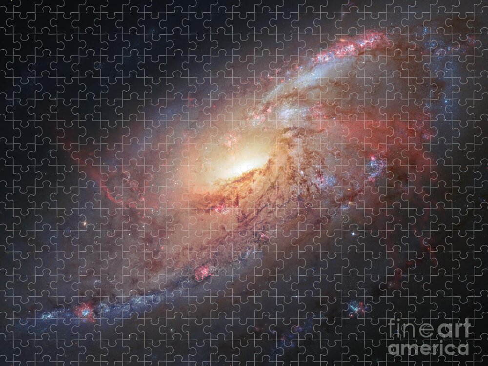 M 106 Jigsaw Puzzle featuring the photograph M106-Spiral Galaxy by Science Source