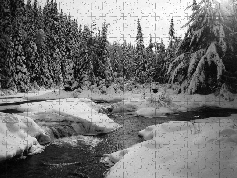 River Jigsaw Puzzle featuring the photograph Madawaska River by David Porteus