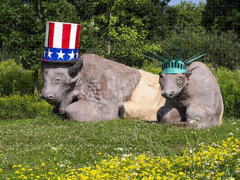 July 4th Jigsaw Puzzle featuring the photograph Madison - July 4 buffalo by Steven Ralser