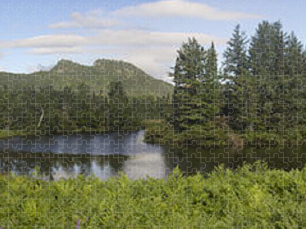 River Jigsaw Puzzle featuring the photograph Magalloway River Pano by Peter J Sucy