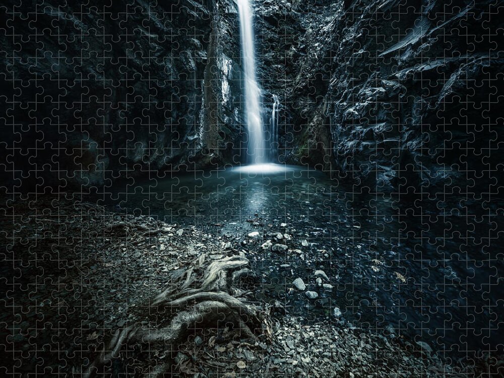 Non-urban Scene Jigsaw Puzzle featuring the photograph Magic Forest by Da-kuk