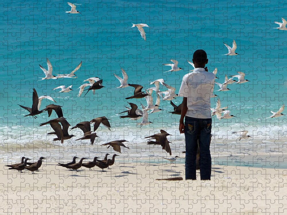 Beach Scene Jigsaw Puzzle featuring the photograph Magical Moment by Carl Sheffer