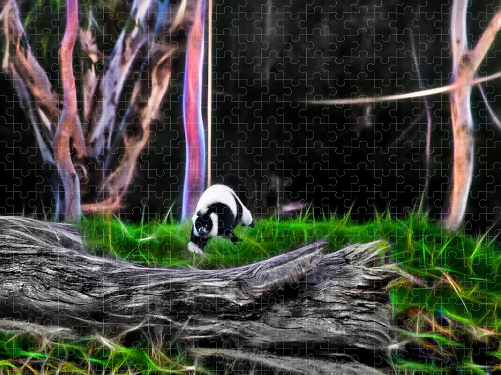 Lemur Jigsaw Puzzle featuring the photograph Walk in Magical Land Of The Black and White Ruffed Lemur by Miroslava Jurcik