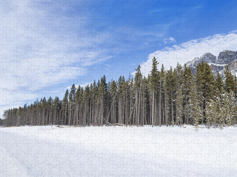 Banff Jigsaw Puzzle featuring the photograph Magnetic North by Evelina Kremsdorf