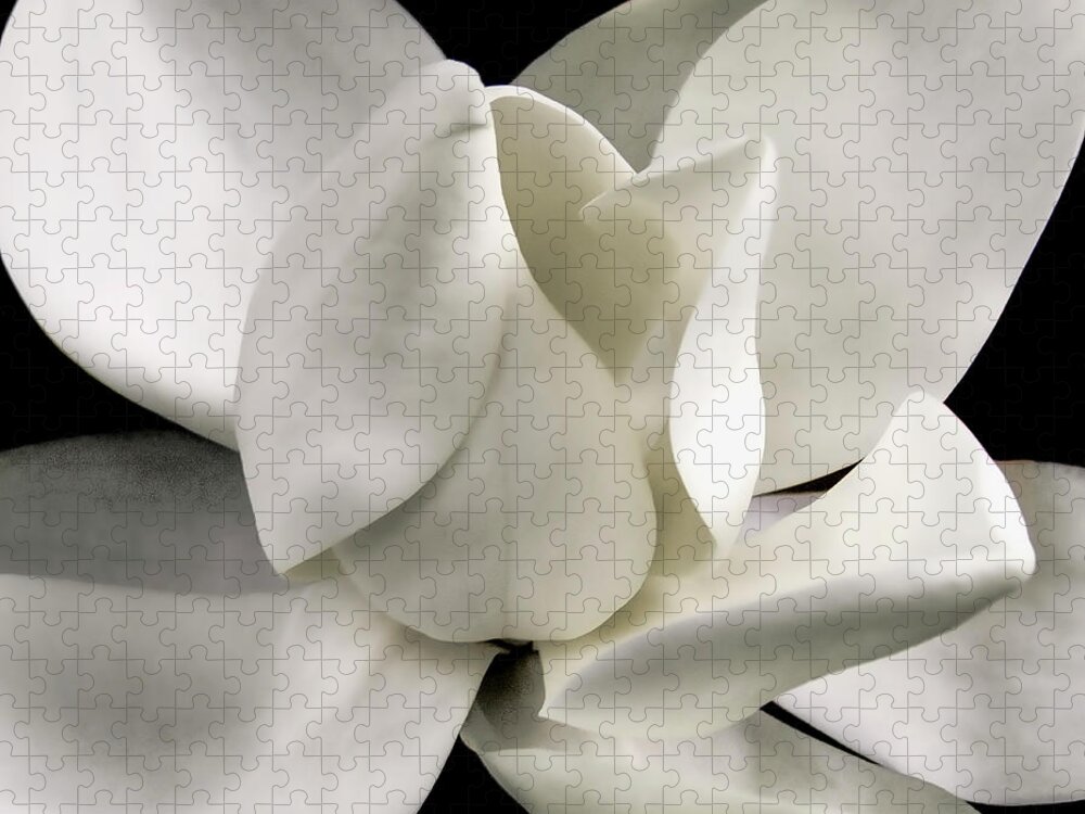 Magnolia Jigsaw Puzzle featuring the photograph Magnolia Bloom by David Patterson