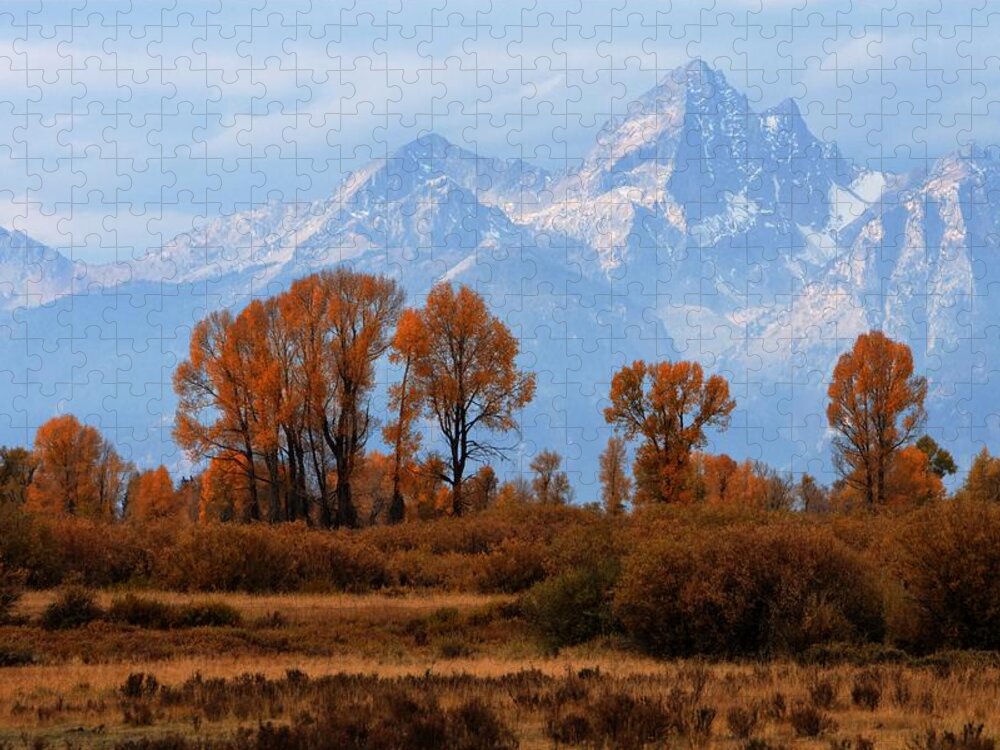 Autumn Jigsaw Puzzle featuring the photograph Majestic Backdrop by David Andersen