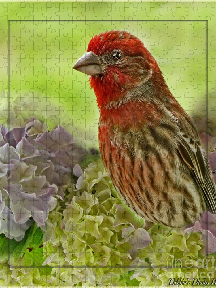 Nature Jigsaw Puzzle featuring the photograph Male Finch in Hydrangesa by Debbie Portwood