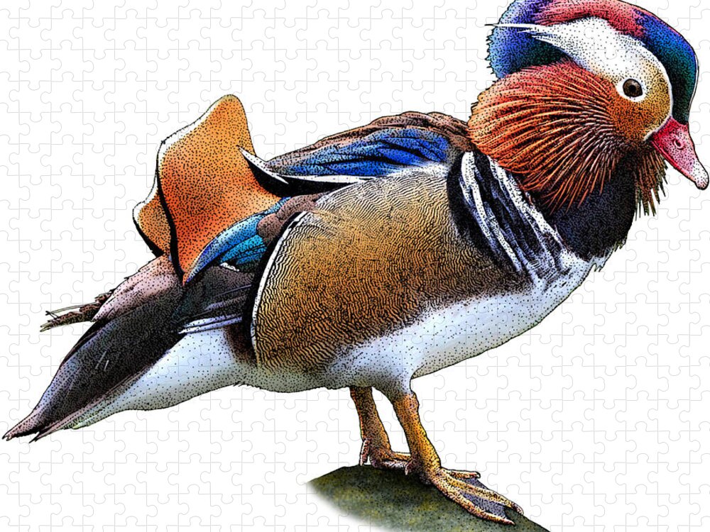 Nature Jigsaw Puzzle featuring the photograph Mandarin Duck by Roger Hall