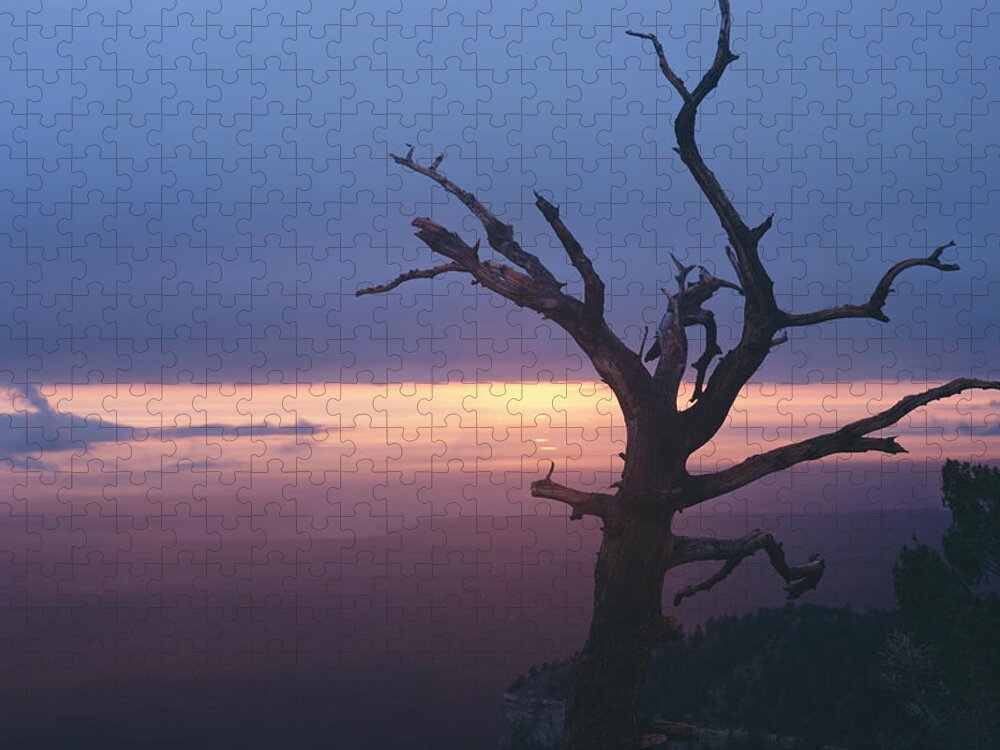 Arizona Jigsaw Puzzle featuring the photograph Marble View Snag by Tom Daniel