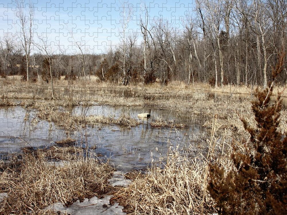 Adventure Jigsaw Puzzle featuring the photograph Marsh Forest Maple Trees Ice Water by Bhwehlage