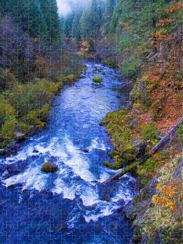 Aufderheide Scenic Byway Jigsaw Puzzle featuring the photograph McKenzie river in autumn by Kunal Mehra