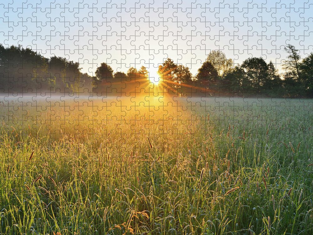 Tranquility Jigsaw Puzzle featuring the photograph Meadow In Spring by Raimund Linke