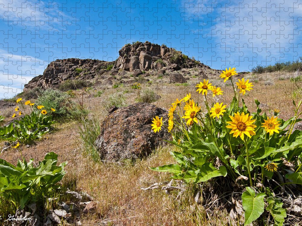 Arrowleaf Balsamroot Jigsaw Puzzle featuring the photograph Meadow of Arrowleaf Balsamroot by Jeff Goulden