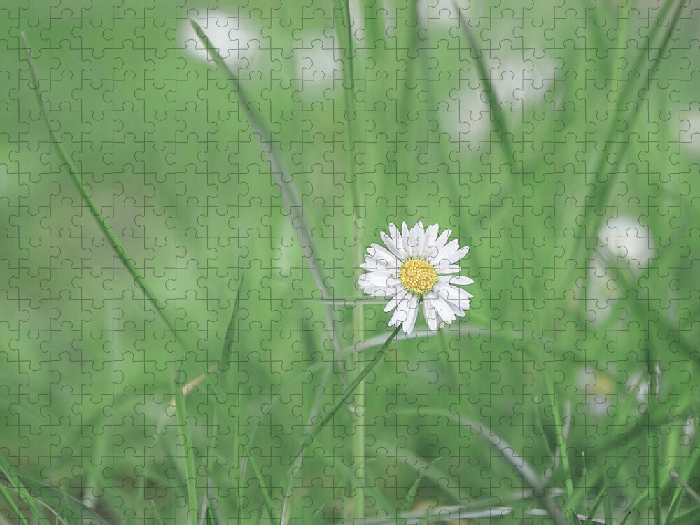 Flower Puzzle featuring the photograph Meadows Of Heaven by Evelina Kremsdorf