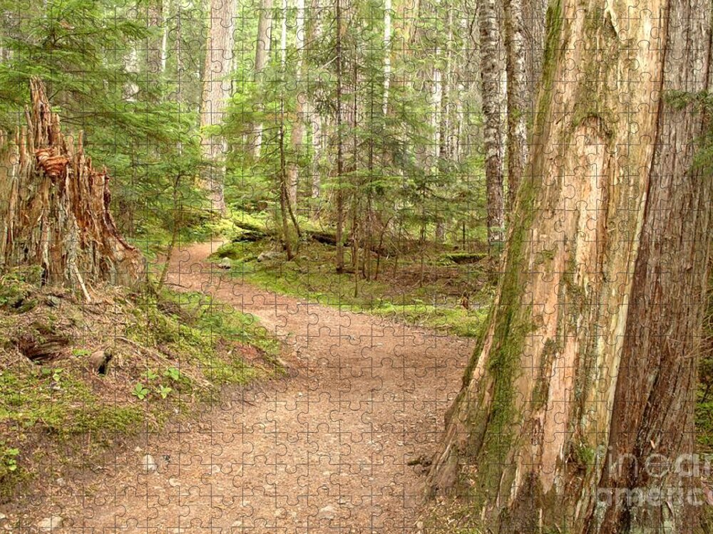 Cheakamus Rainforest Jigsaw Puzzle featuring the photograph Meandering Along Cheakamus Lake by Adam Jewell