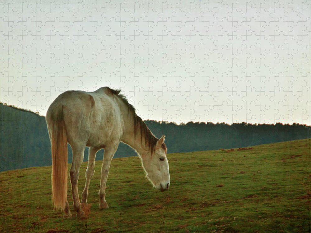 Horse Jigsaw Puzzle featuring the photograph Meeting Before Christmas by Maria Jose Valle Fotografia