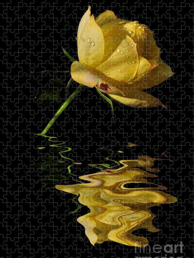 Photography Jigsaw Puzzle featuring the photograph Melting Rose by Kaye Menner