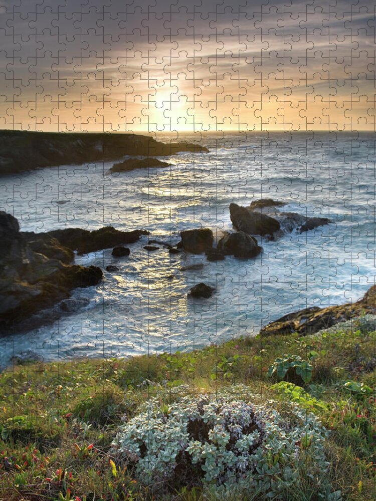 Tranquility Jigsaw Puzzle featuring the photograph Mendocino Headlands State Park by Alan Majchrowicz