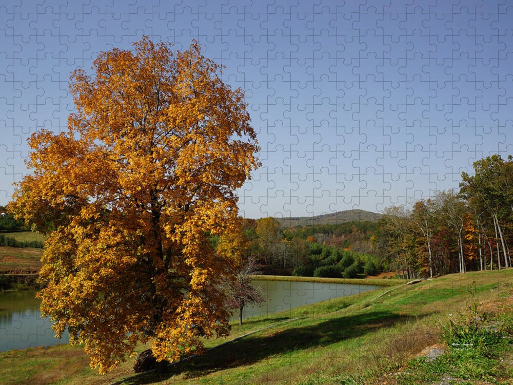 Red Jigsaw Puzzle featuring the photograph Mercier Orchards by Rafael Salazar