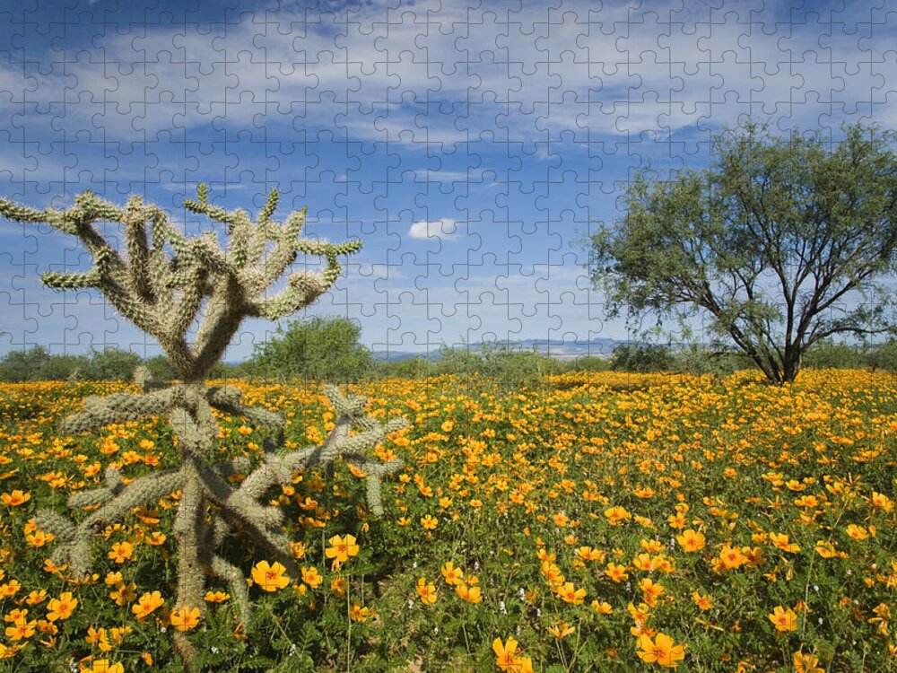 Feb0514 Jigsaw Puzzle featuring the photograph Mexican Golden Poppy Flowers And Cactus by Tom Vezo