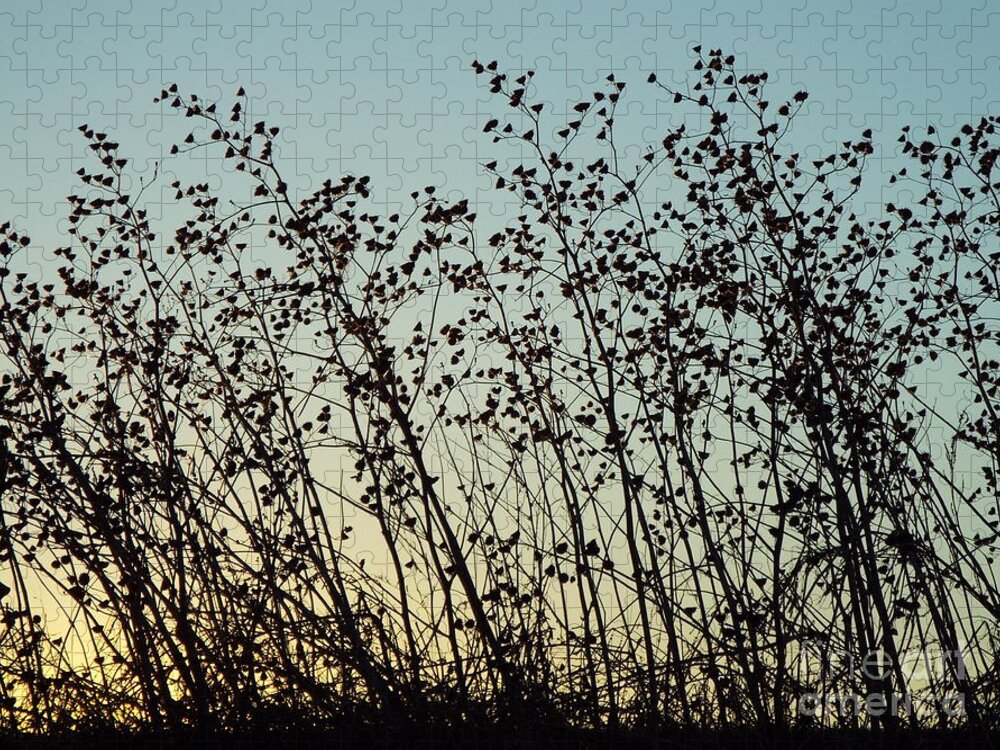 Sunset Jigsaw Puzzle featuring the photograph Mid Winter Silhouette by Caryl J Bohn