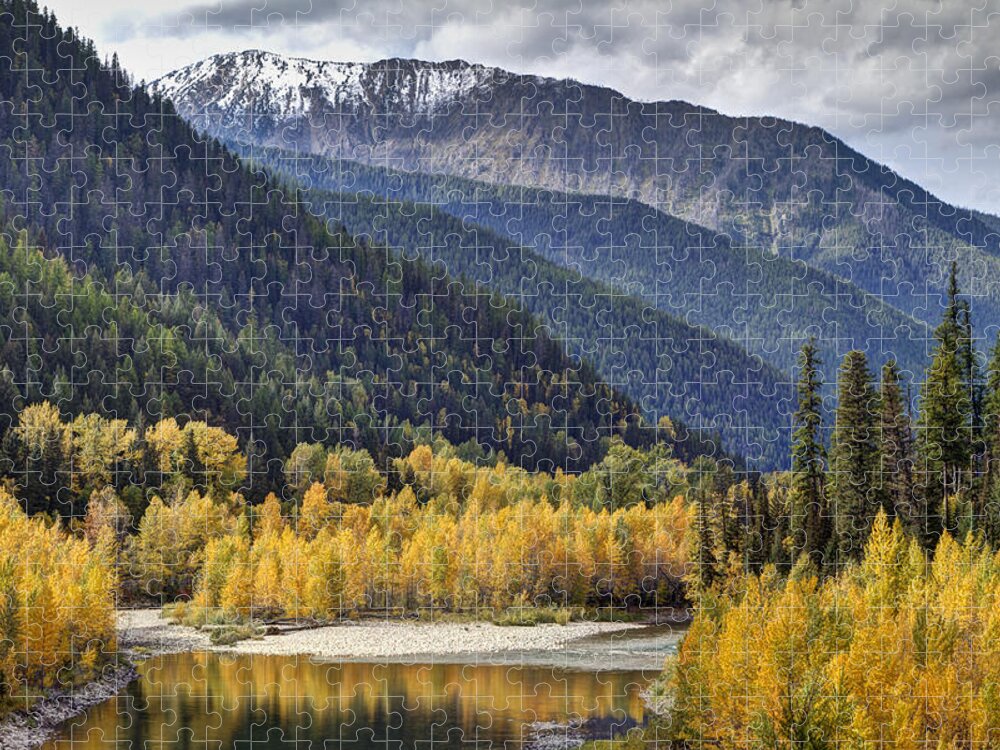 Autumn; Fall; Middle Fork Flathead River; Montana; Mountains; Nature; October; Outdoors; Reflection; River; Water; Yellow; Color; Flathead River; Landscape; Photo; Beautiful; Mark Kiver; Yellow; Sky. Forest; Trees; Aspen; Snow; Clouds Jigsaw Puzzle featuring the photograph Middle Fork Brillance by Mark Kiver