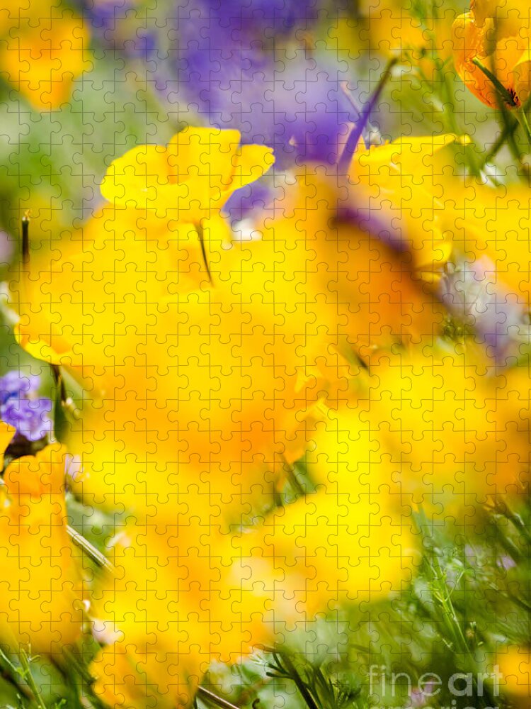 Flower Jigsaw Puzzle featuring the photograph Middle Of The Crowd by Tamara Becker