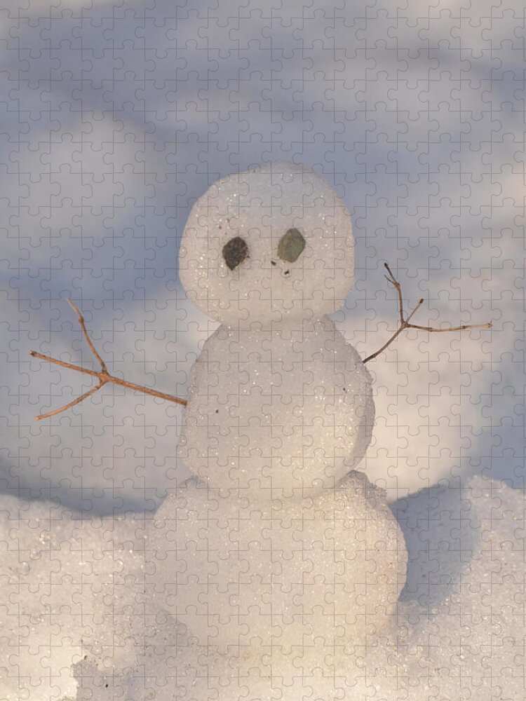 Snowman Jigsaw Puzzle featuring the photograph Miniature Snowman portrait by Nancy Landry