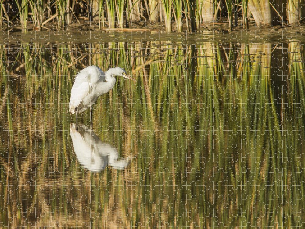 Heron Jigsaw Puzzle featuring the photograph Mirrored White Egret by Jean Noren