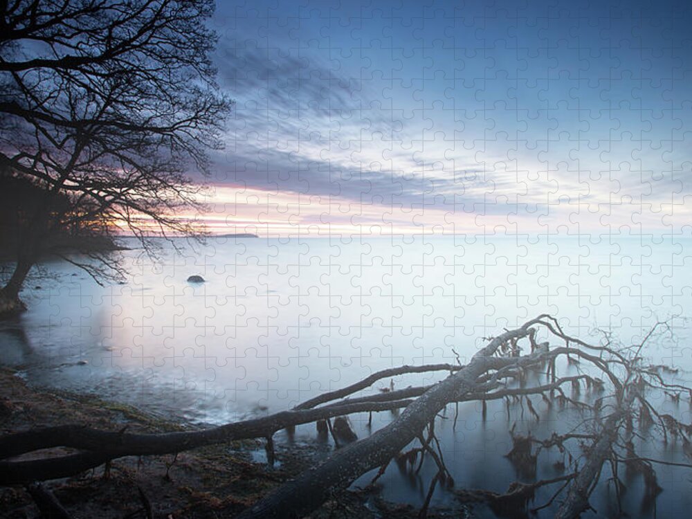 Scenics Jigsaw Puzzle featuring the photograph Misty Morning At Baltic Sea With A Dead by Spreephoto.de