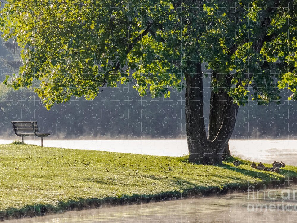 Al Andersen Jigsaw Puzzle featuring the photograph Misty Morning At Hudson Springs by Al Andersen