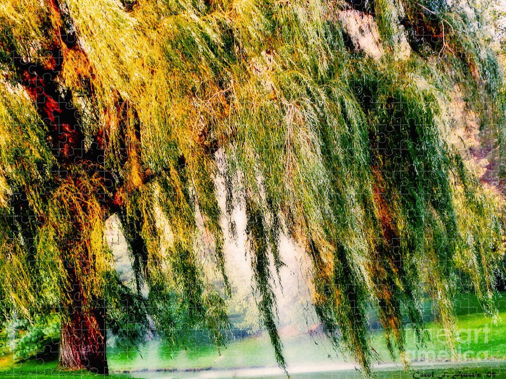 Weeping Willow Jigsaw Puzzle featuring the photograph Misty Weeping Willow Tree Dreams by Carol F Austin