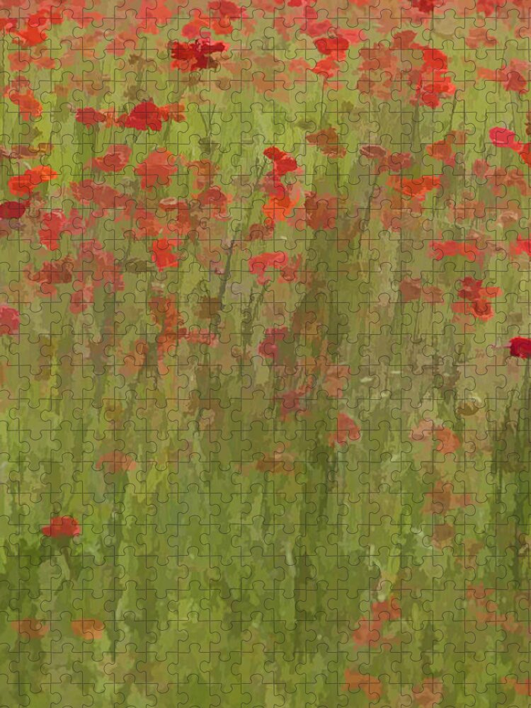 Abstract Jigsaw Puzzle featuring the photograph Monet Poppies II by David Letts