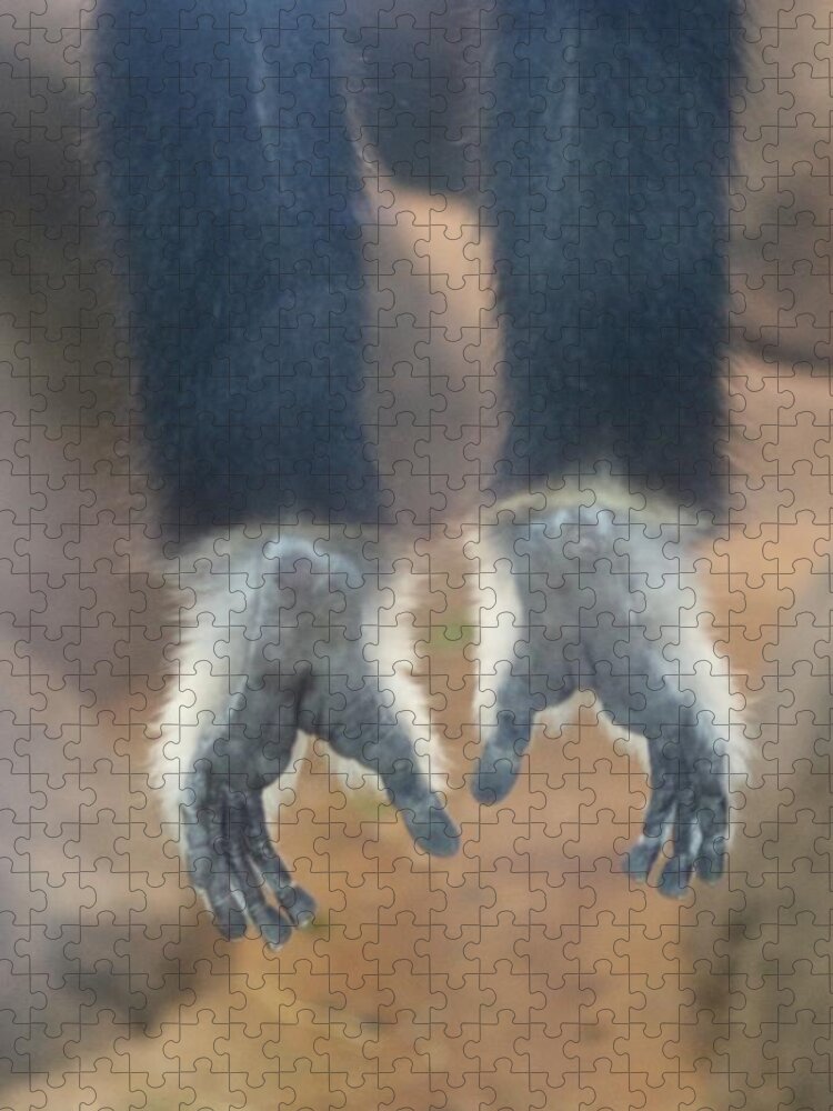 Monkey Jigsaw Puzzle featuring the photograph Monkeying Around by Christy Pooschke