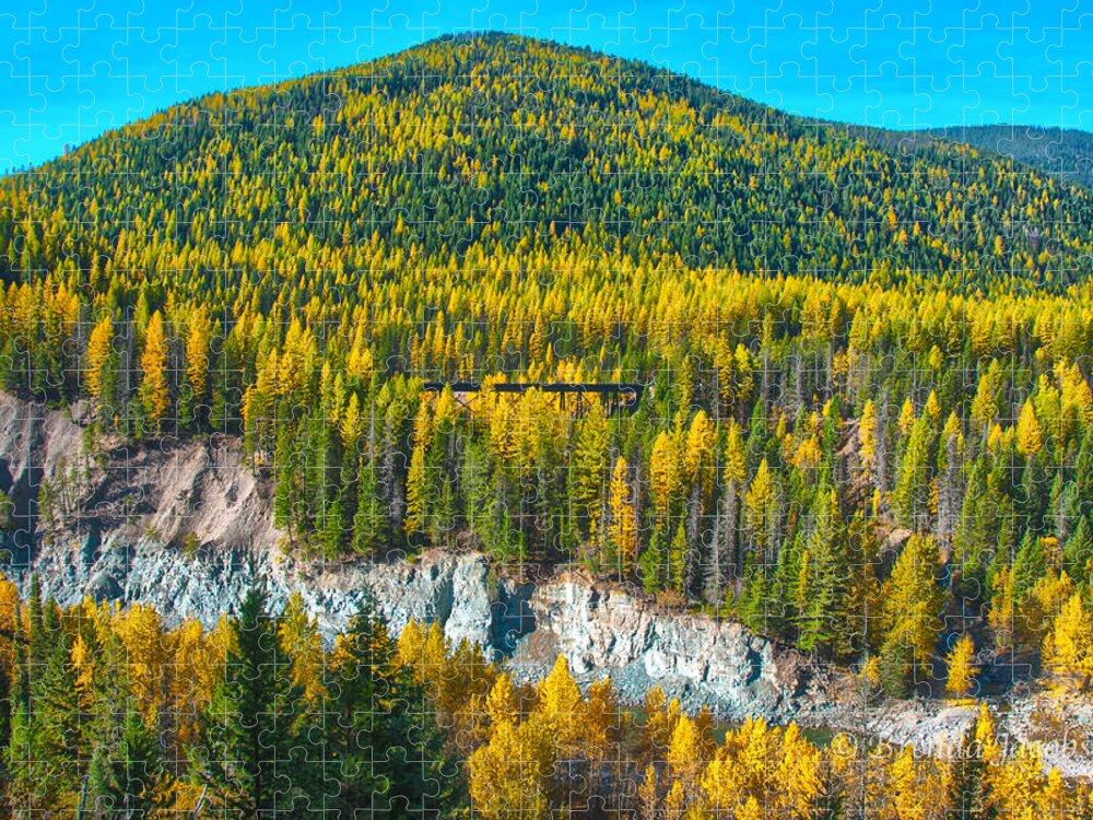 Amtrak Jigsaw Puzzle featuring the photograph Montana Aspens by Brenda Jacobs