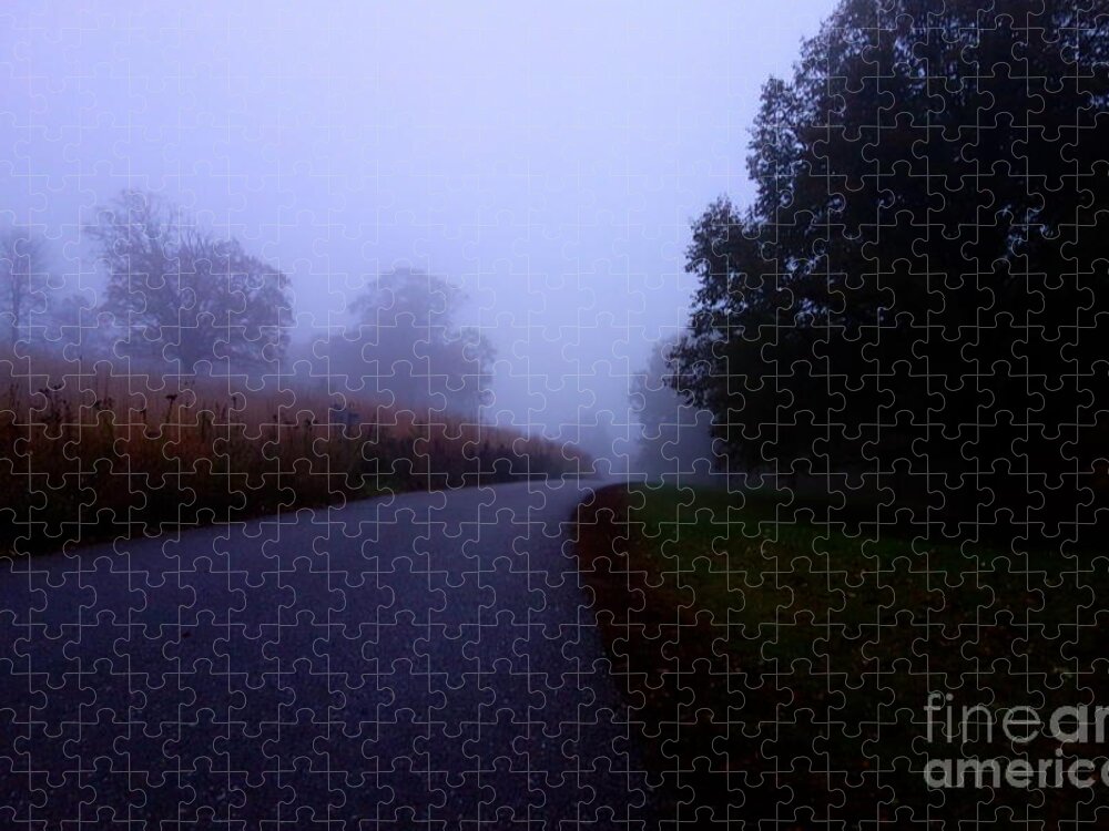 Autumn Jigsaw Puzzle featuring the photograph Moody Autumn Pathway by Jacqueline Athmann