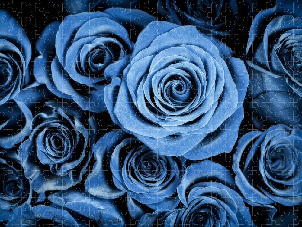 3scape Puzzle featuring the photograph Moody Blue Rose Bouquet by Adam Romanowicz
