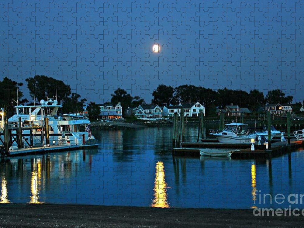 Moon Jigsaw Puzzle featuring the photograph Moonlit Waters - Super Moon 2014 by Judy Palkimas