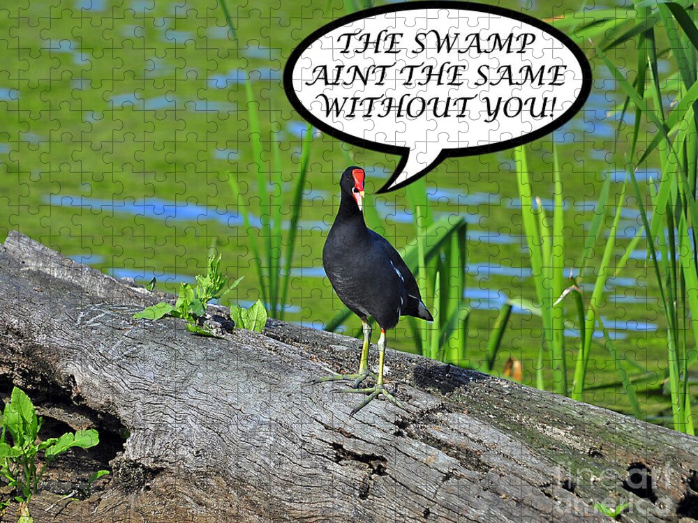 Greeting Card Jigsaw Puzzle featuring the photograph Moorhen Swamp Card by Al Powell Photography USA