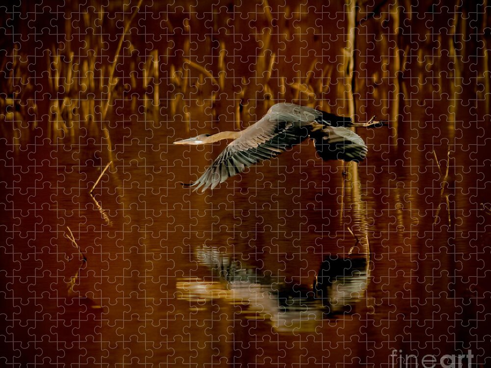 Animal Jigsaw Puzzle featuring the photograph Heron Flying Through Rusty Bog by Robert Frederick