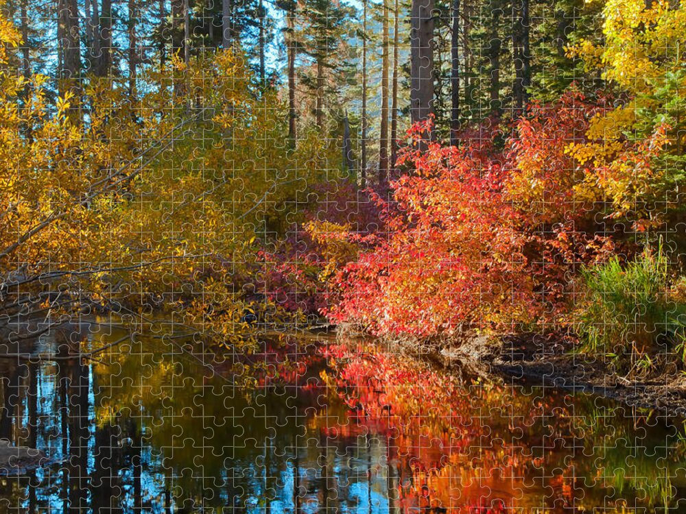 Landscape Jigsaw Puzzle featuring the photograph Morning Glow by Jonathan Nguyen